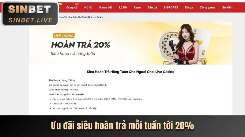 Thông báo khuyến mãi mới